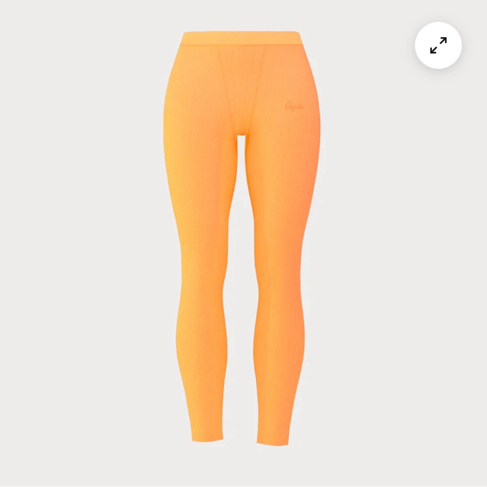 Coyote basics Leggings size Large. As seen on Chaney Jones